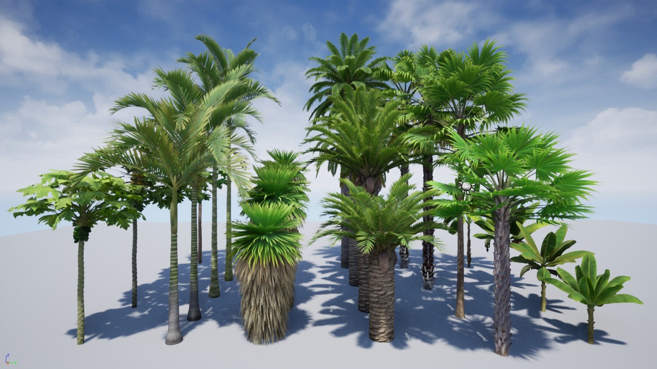 Media 1 for listing AB3D Plants Volume 5 Palms for unreal engine 3D model set of 24