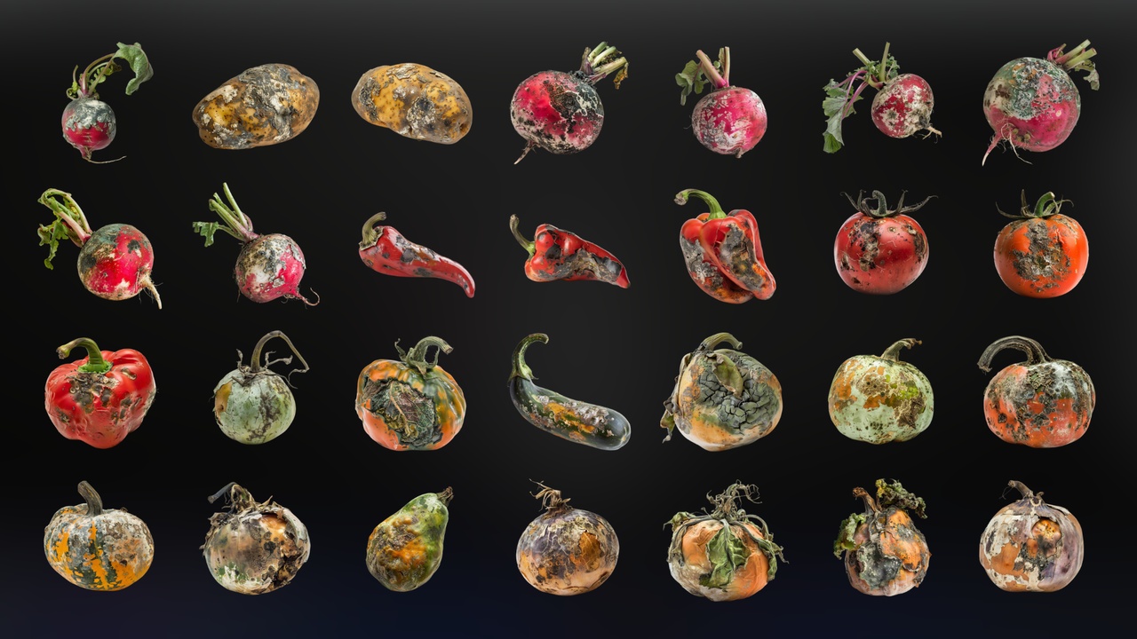 Media 1 for listing Rotten Vegetables - Icon Pack