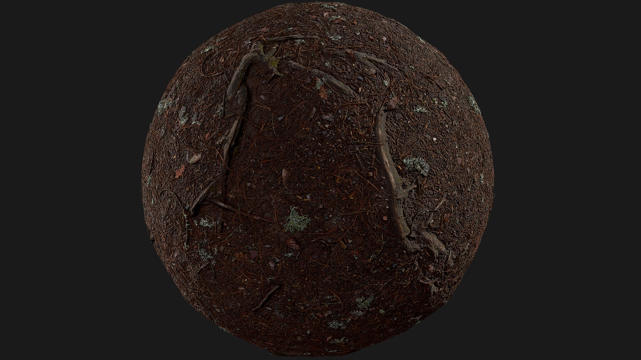 Forest Ground (TptEja) | Fab