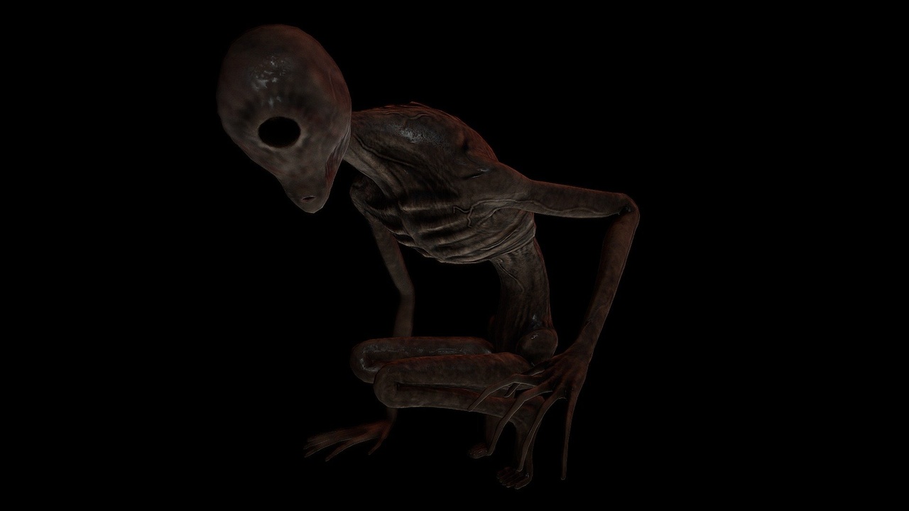 Media 1 for listing Lesser Cyclops Variant Rig