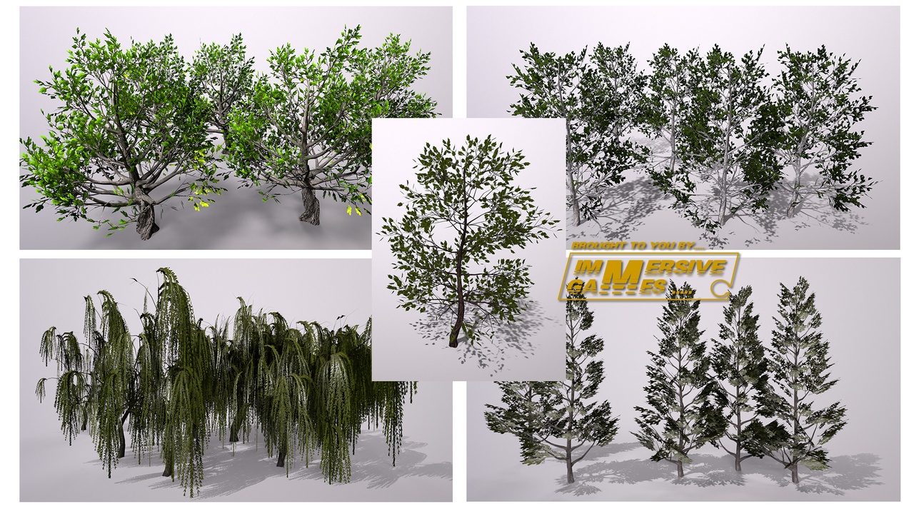 Media 1 for listing Trees Geno02_03