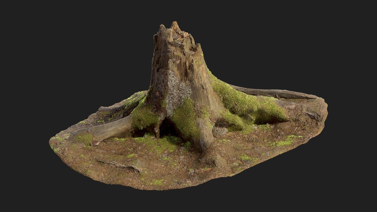 Media 1 for listing Mossy Stump