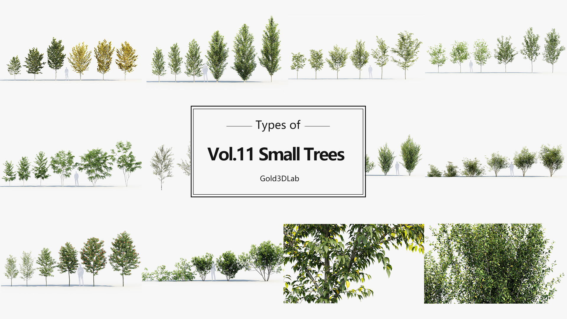 Tree Types One Small Small Trees Collection | Fab