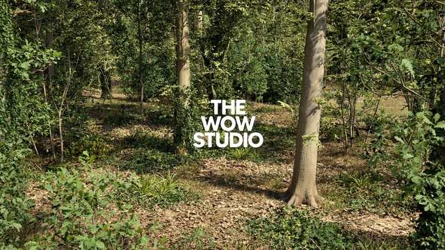 TWS - PCG Broadleaf Forest Biome