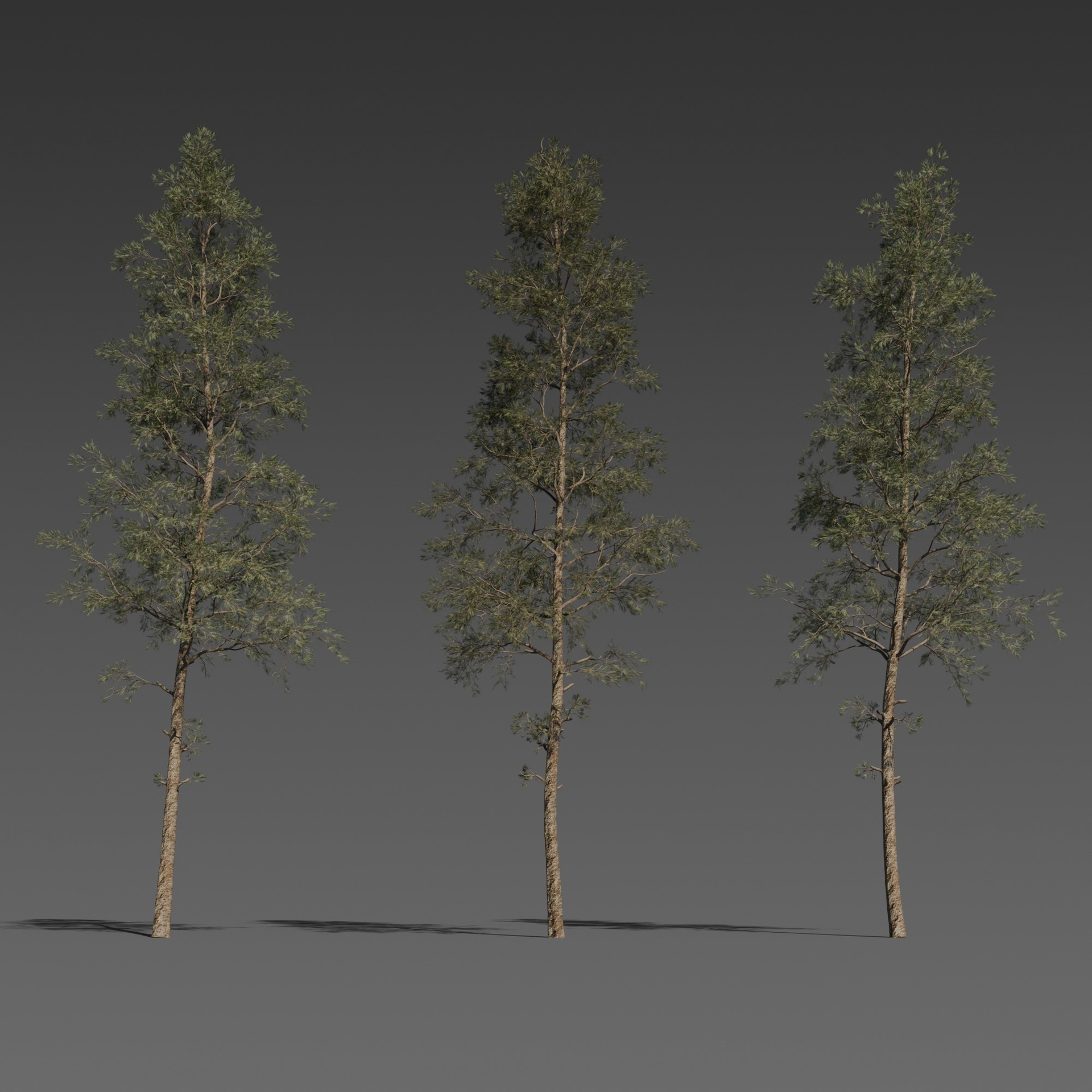 Medium 1 für Eintrag Pine Tree Pack – 3 Stylized Variants