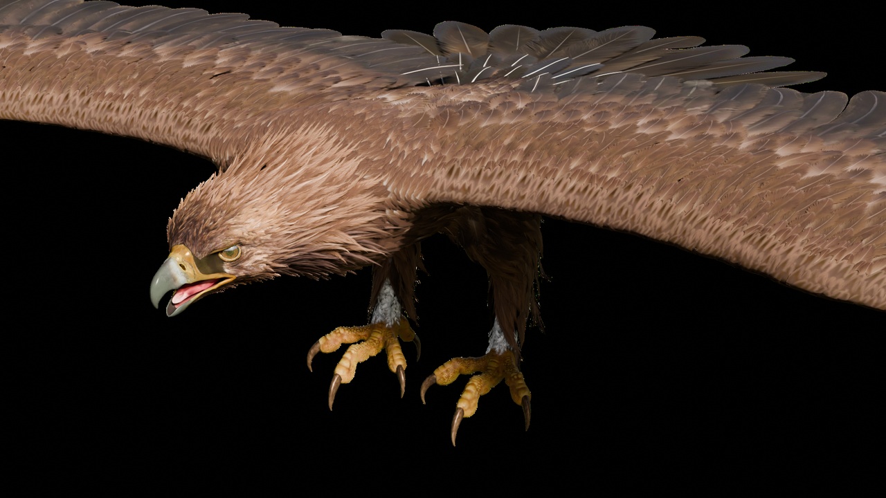 Media 1 for listing Eagle