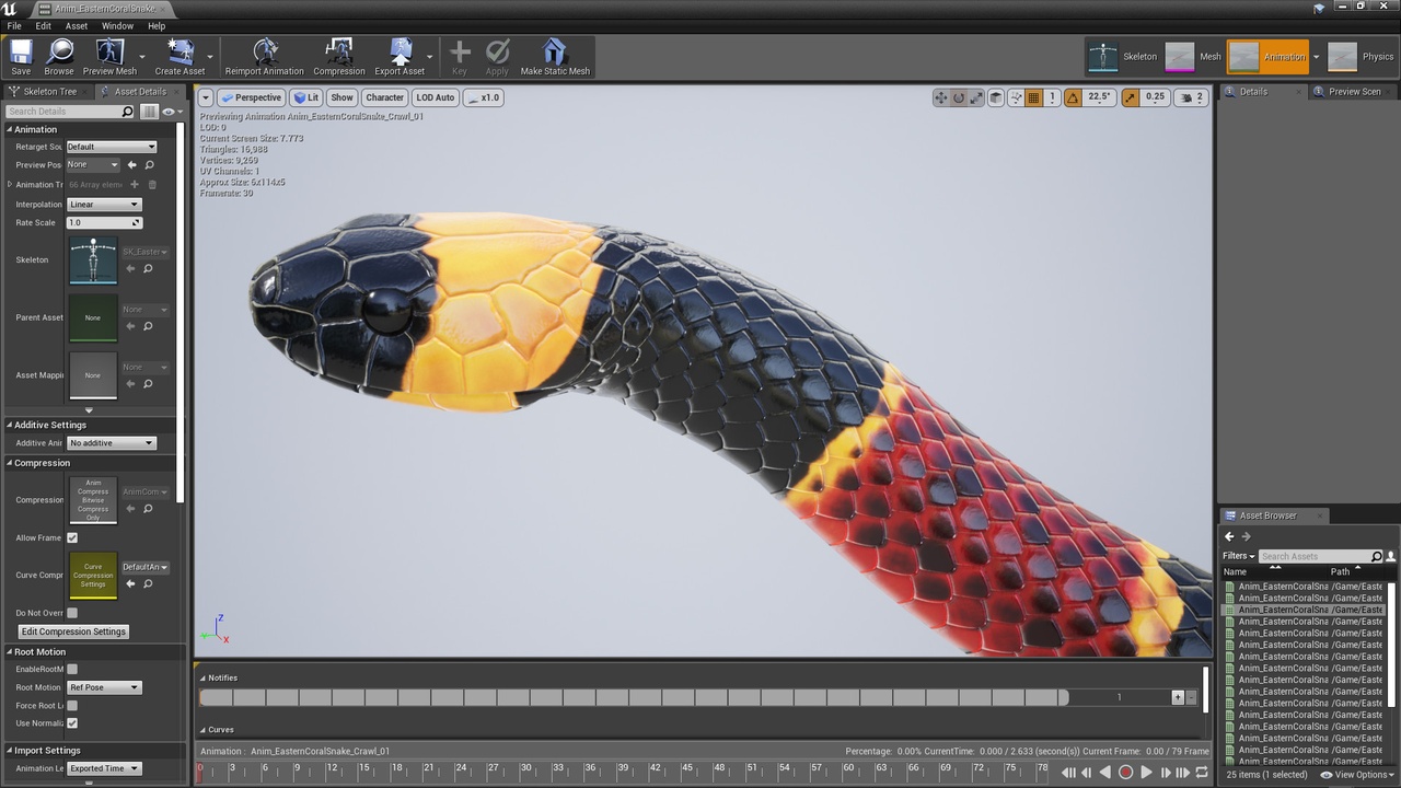 Media 1 for listing Eastern  Coral Snake