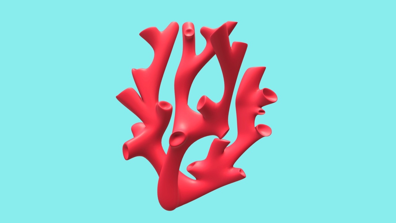 Media 1 for listing Coral