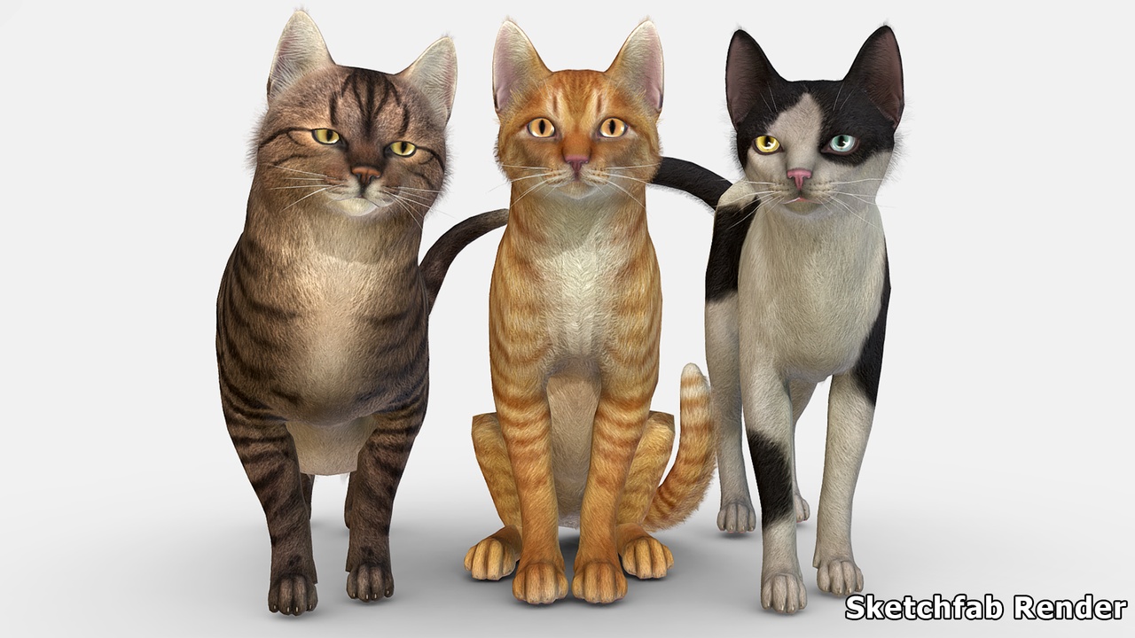 Media 1 for listing Cats Pack