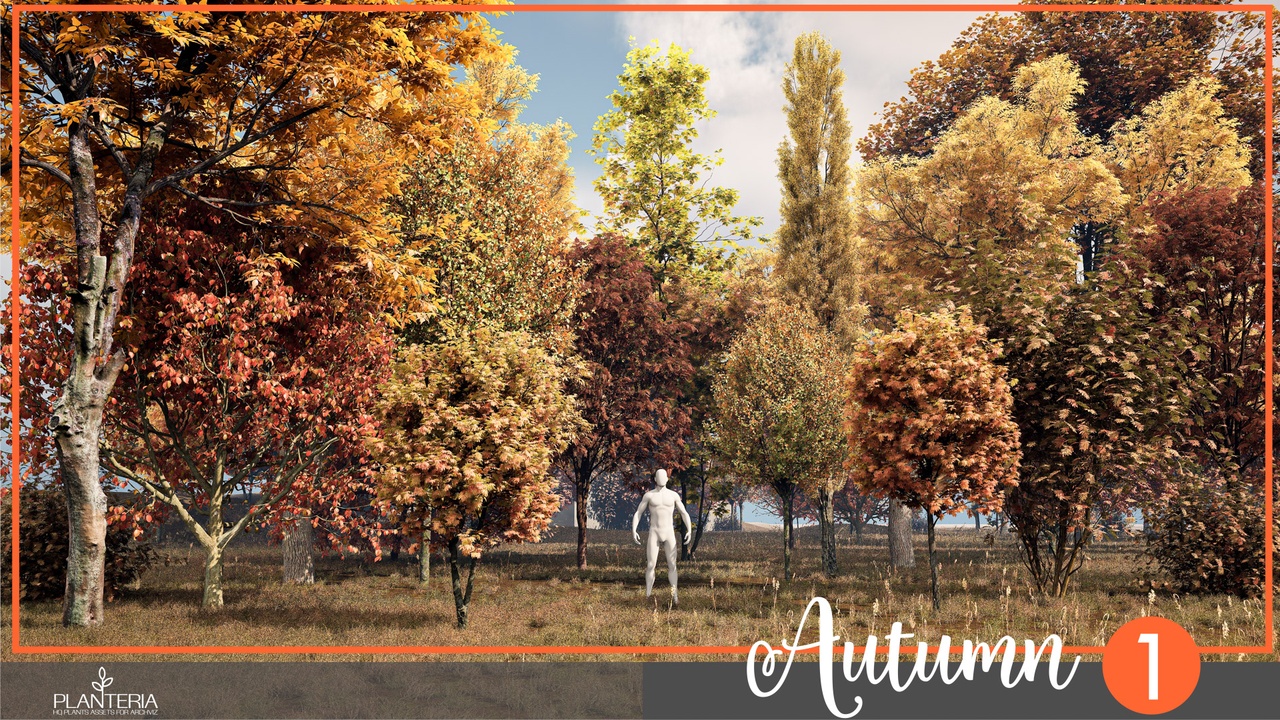 Media 1 for listing Landscaping Autumn 1