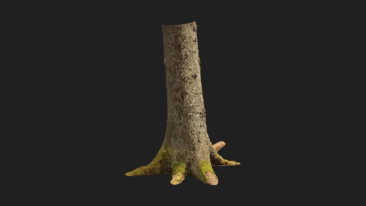 Nordic Forest Tree Trunk Spruce Large | Fab