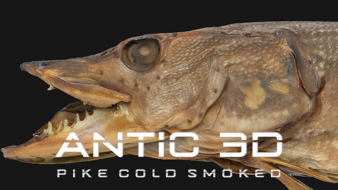 Media 1 for listing Pike cold smoked
