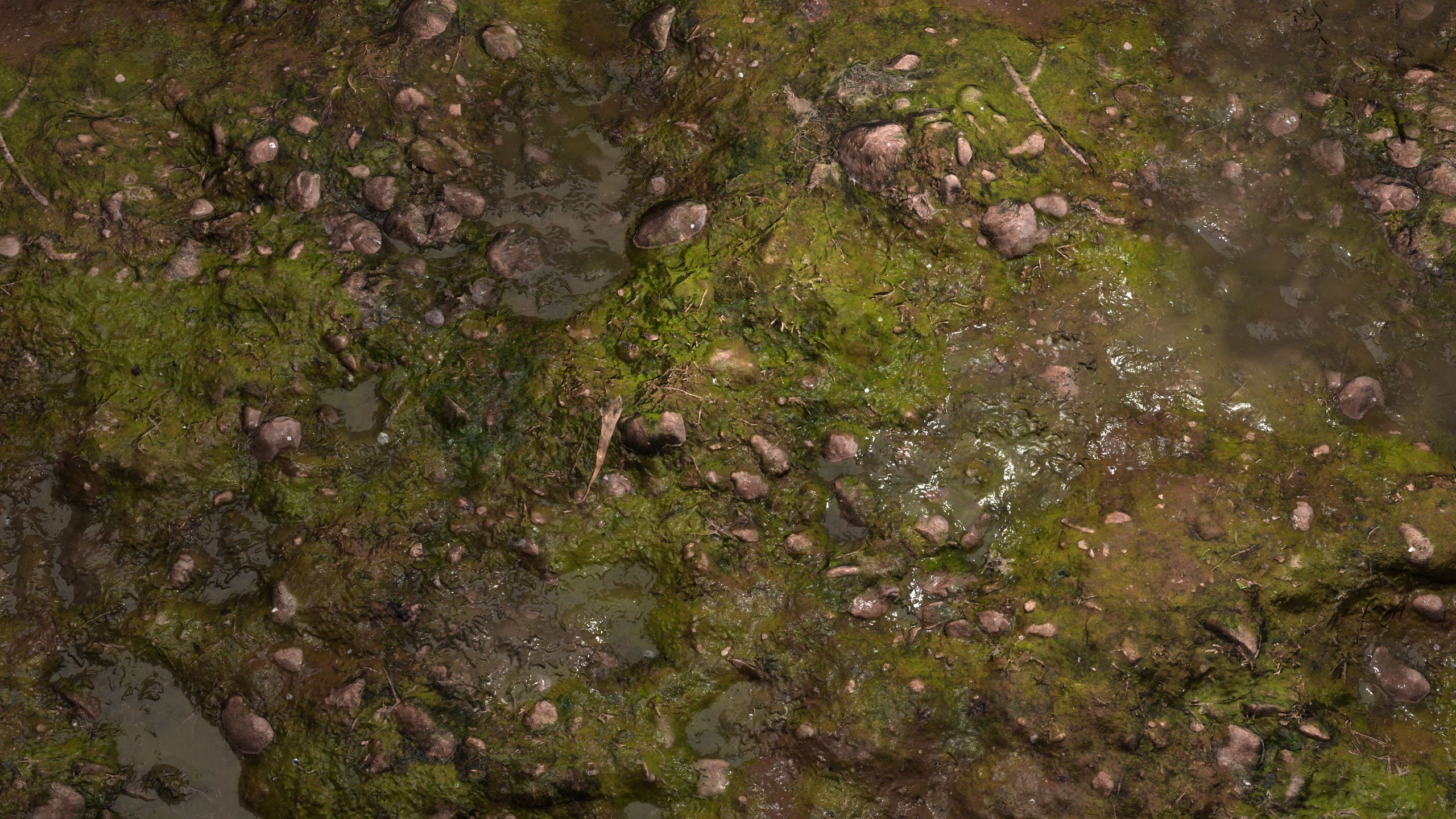 Media 1 for listing Swamp Mud 8K PBR Texture