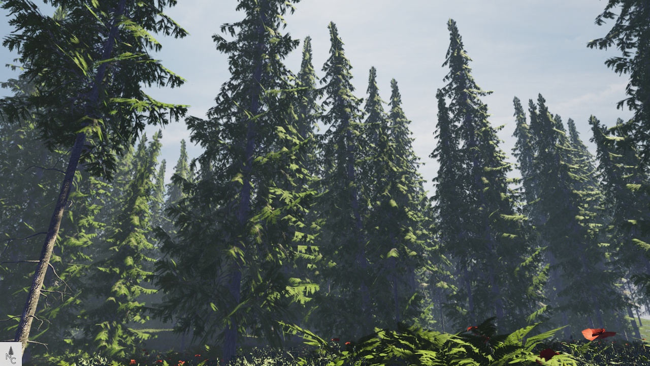Media 1 for listing Realistic Douglas Fir Tree Pack
