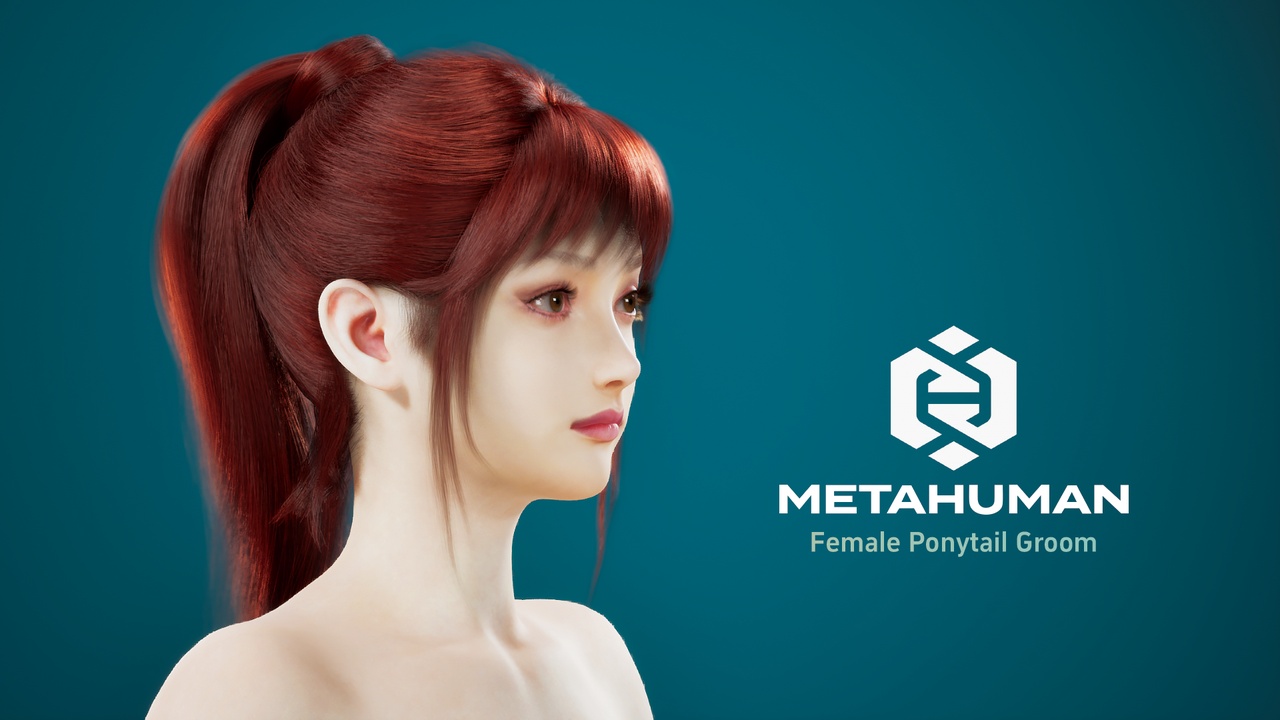 Media 1 for listing MetaHuman Female Ponytail Groom