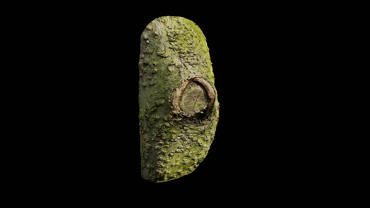 Media 1 for listing Prunus armeniaca Burl 01