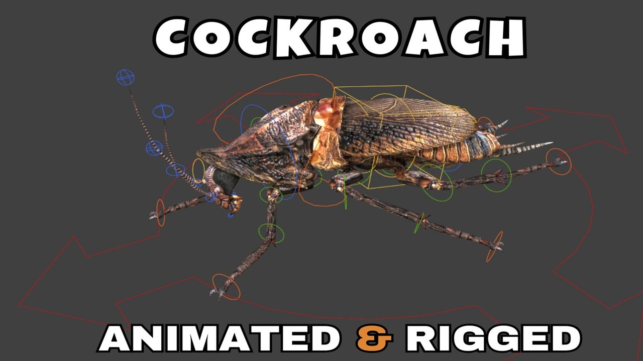 Media 1 for listing Cockroach Rigged And Animated 3D Model