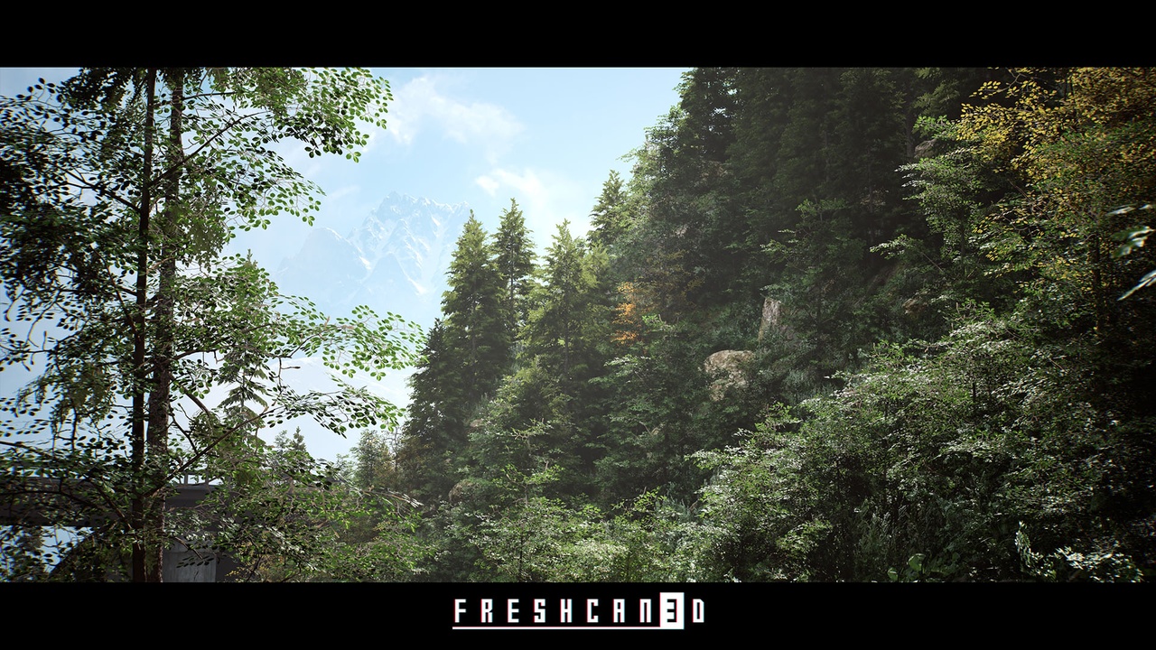 Forest Essentials ( Forest Environment , Procedural Mountain