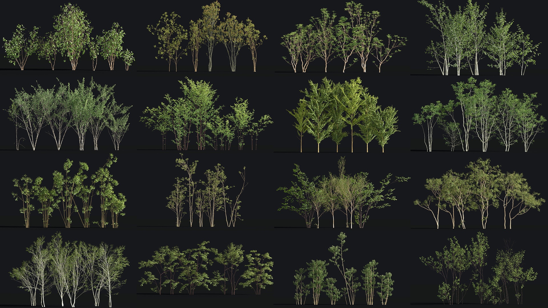 Media 1 for listing Japanese Small Tree Collection