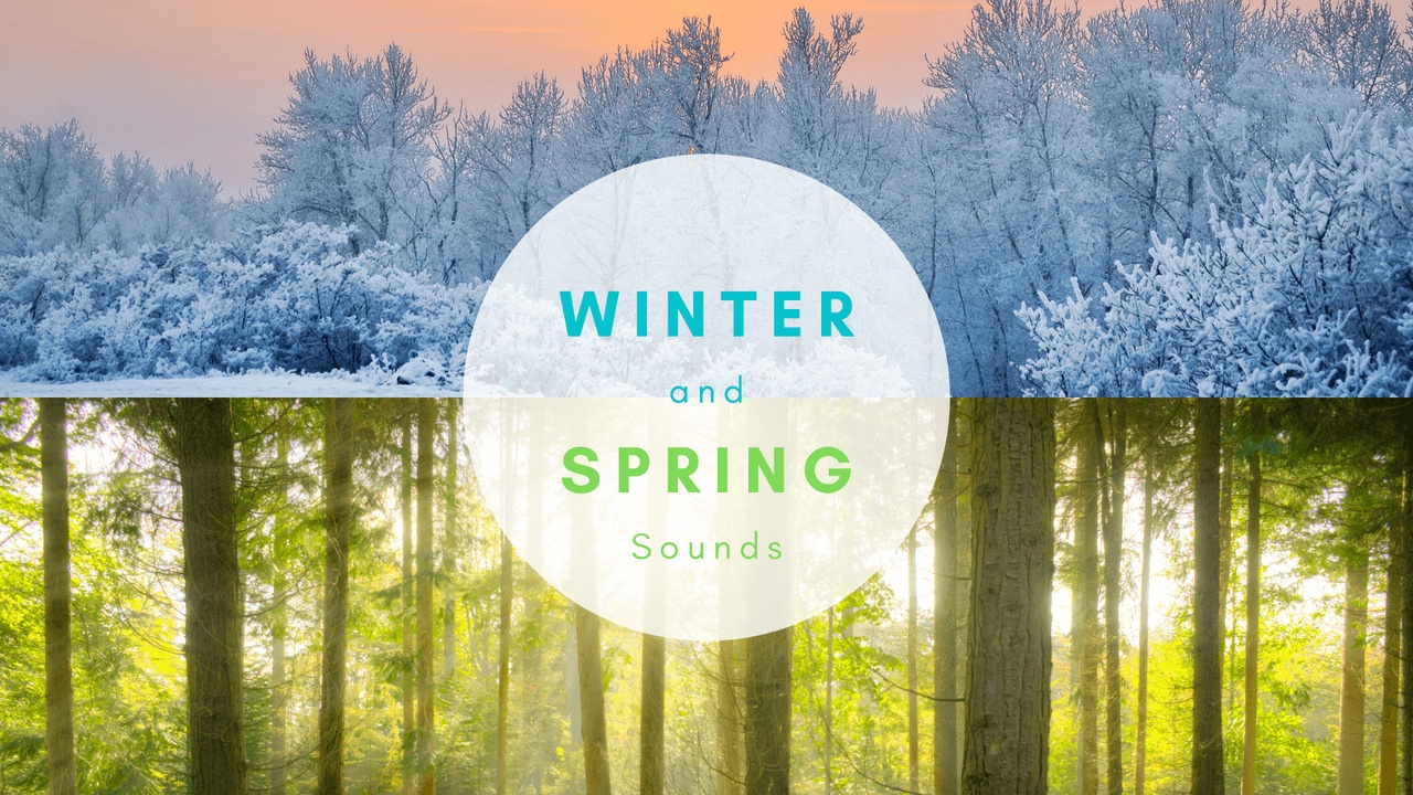 Media 1 for listing Winter and Spring Forest Sounds