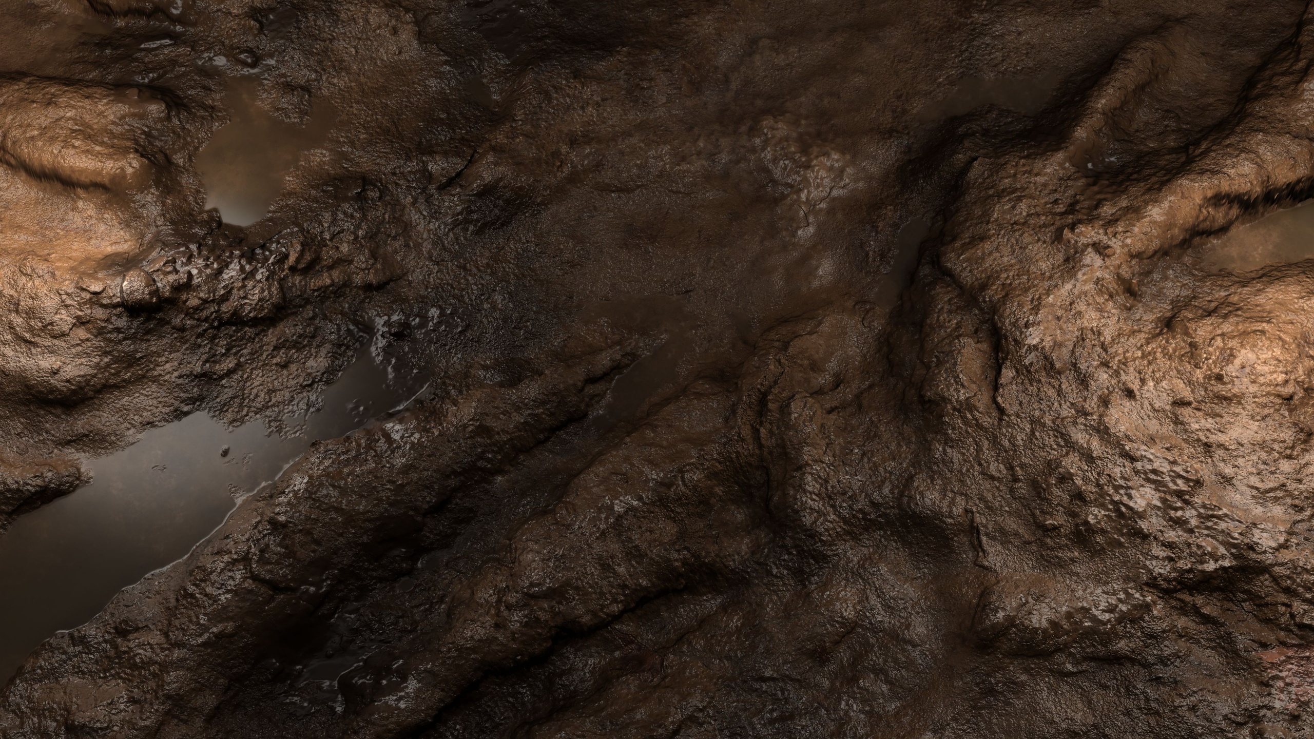Media 1 for listing Mud 8K PBR Texture