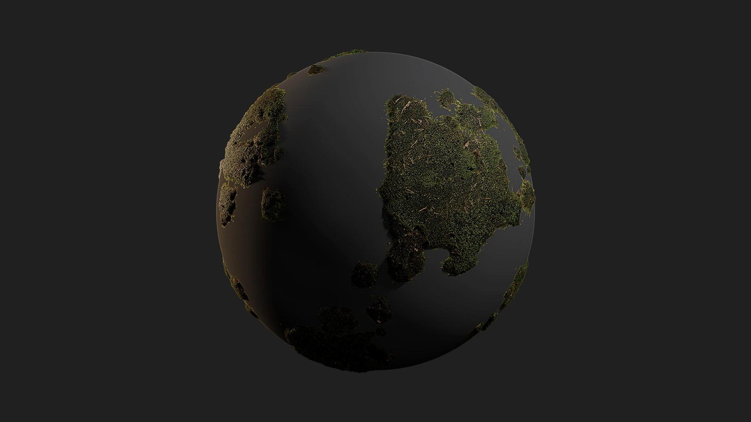 Media 1 for listing Moss