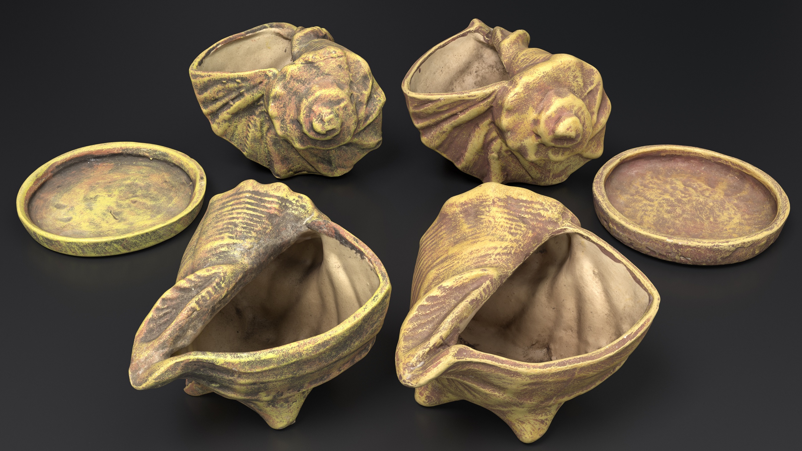 Media 1 for listing Weathered Terracotta Shell Pots with Saucers