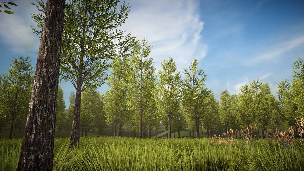 Media 1 for listing Desktop Trees Bundle5 (PC/Console)