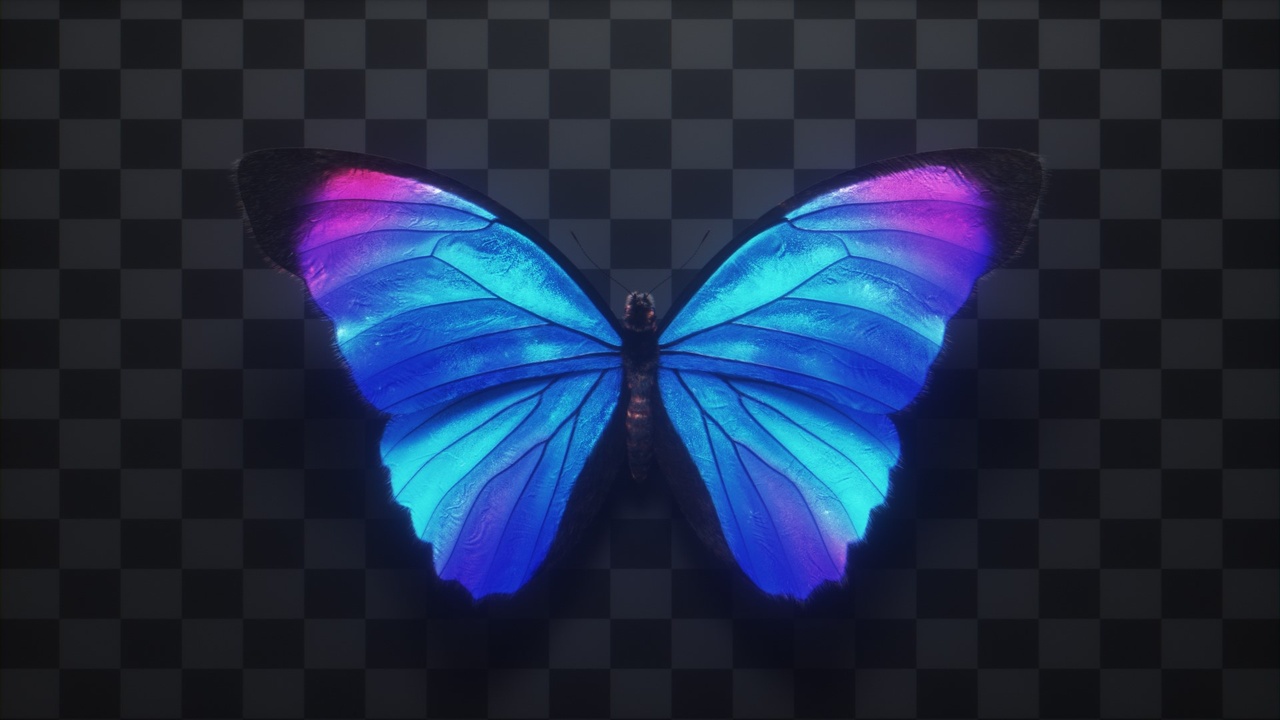 Media 1 for listing Blue Morpho Butterfly