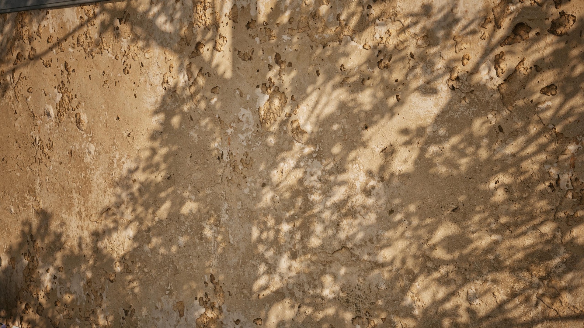 Media 1 for listing Plaster 05 - Scanned Photogrammetry Materials