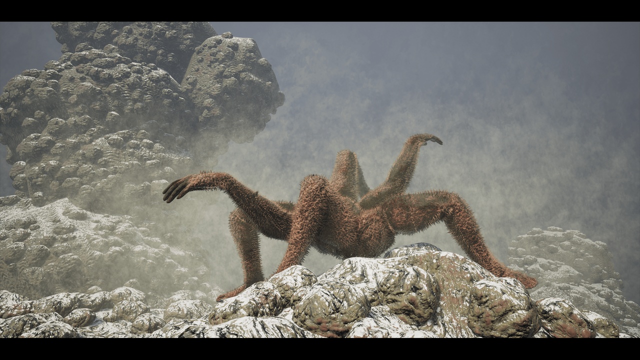 Media 1 for listing BodyMonsters