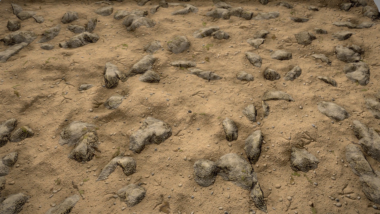 Media 1 for listing PBR Procedural Rocky Sand 01 Material