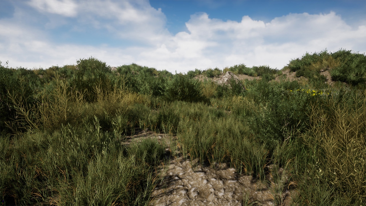 Media 1 for listing Light Foliage