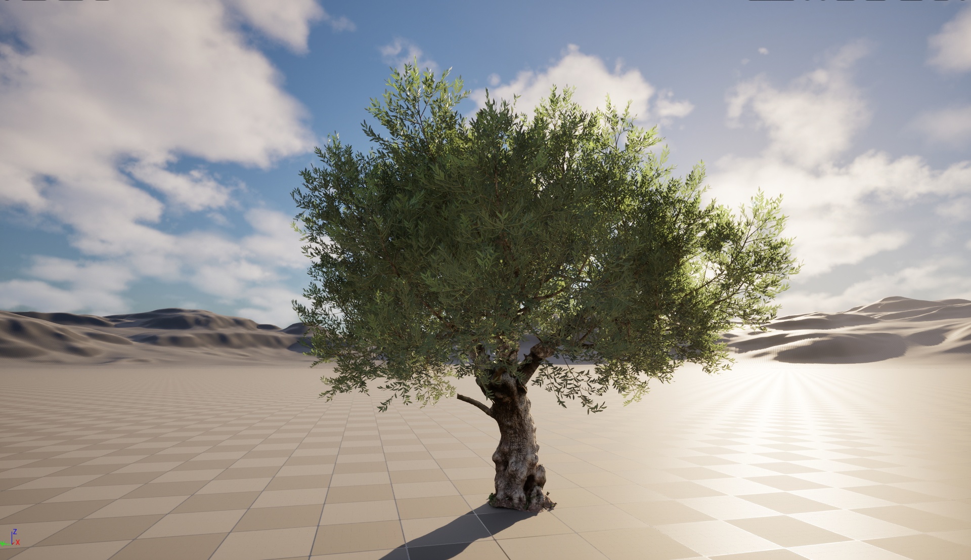 Media 1 for listing Nanite Wind Plants - Scanned Olea europaea - Common olive 04