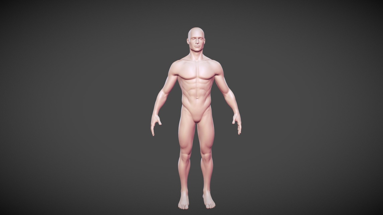 Media 1 for listing Realistic Male Base Mesh