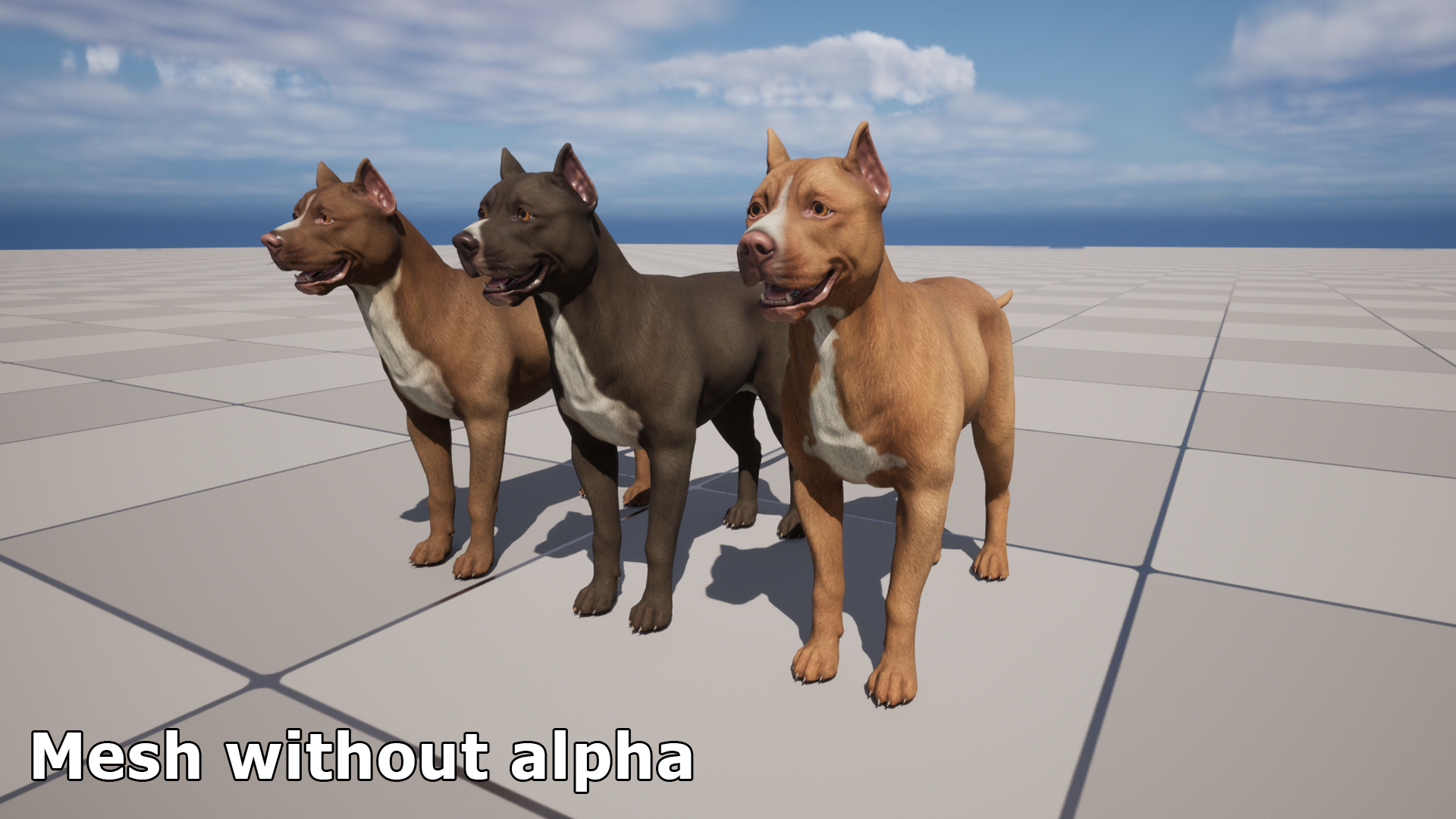 Dog - Pitbull | Fab