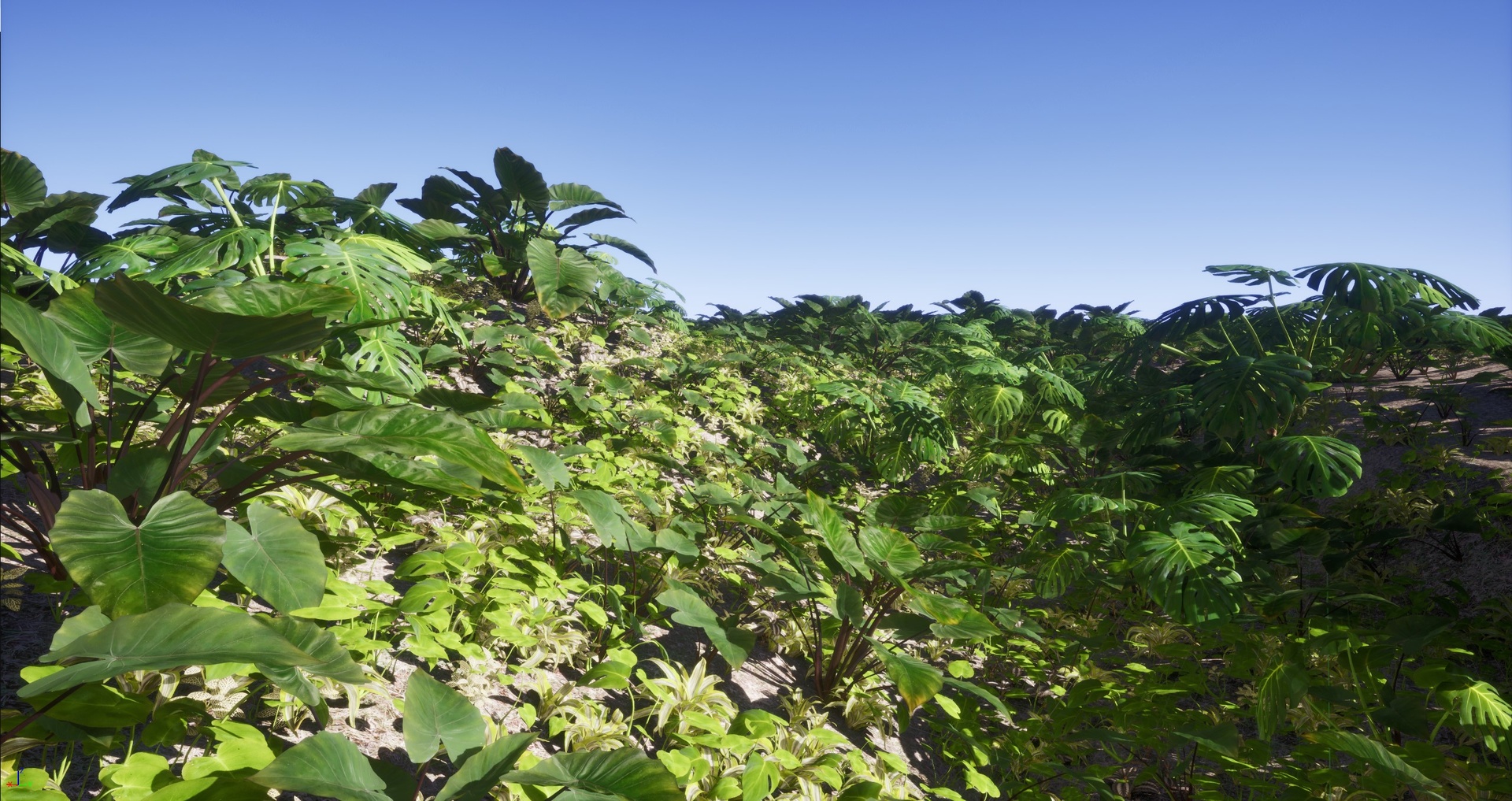 Media 1 for listing Nanite Tropical Plant Pack 2