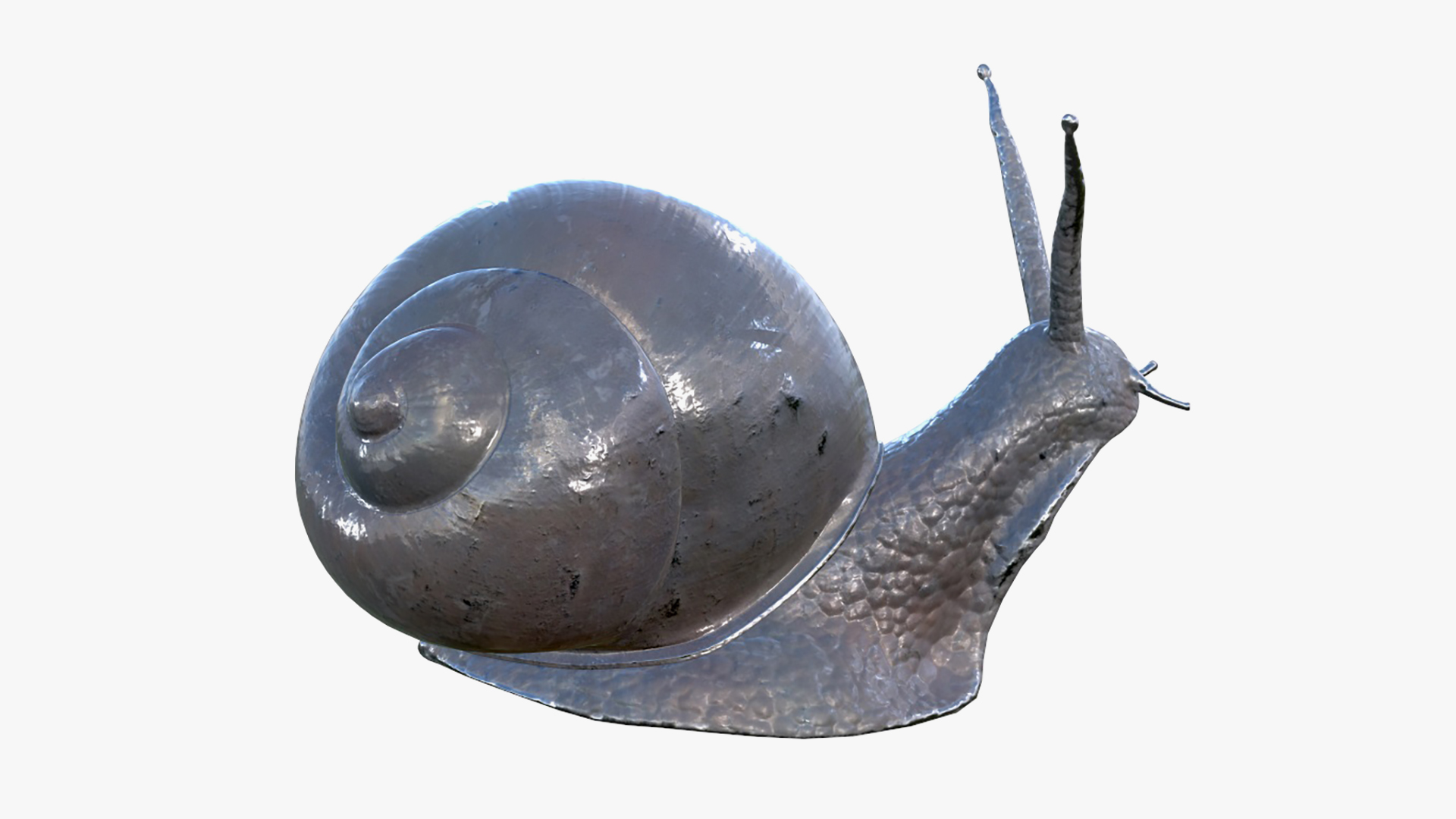 Snail metal model | Fab