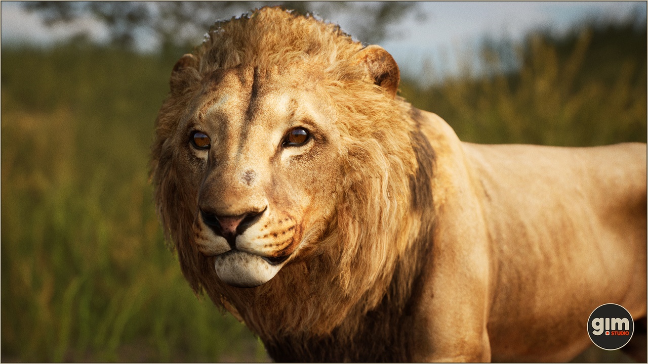 Media 1 for listing Animalia - Lion (male)