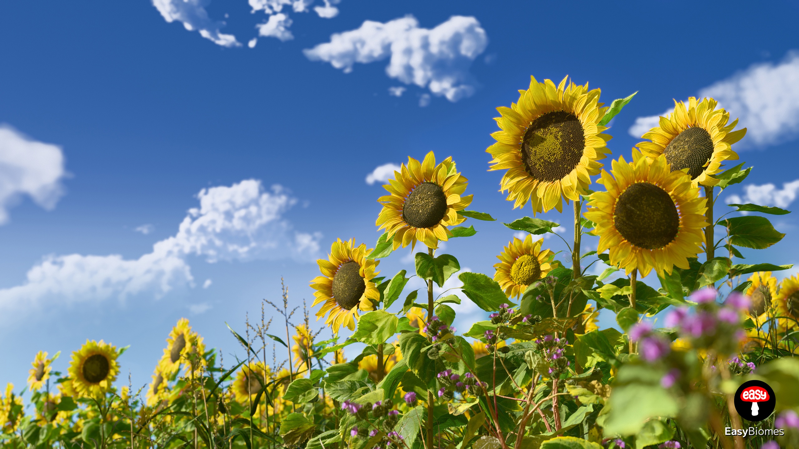 Media 1 for listing Farmland Biome Generator - PCG Environment