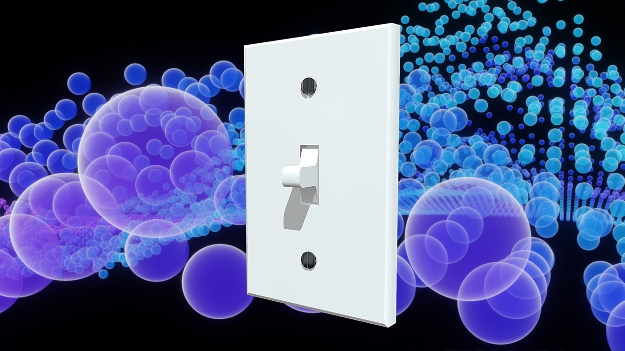 Media 1 for listing Light Switch