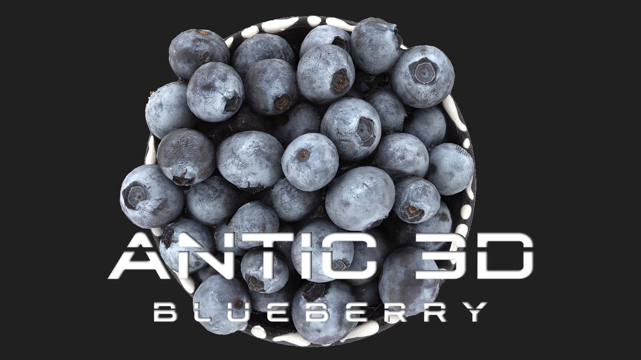 Media 1 for listing Blueberry