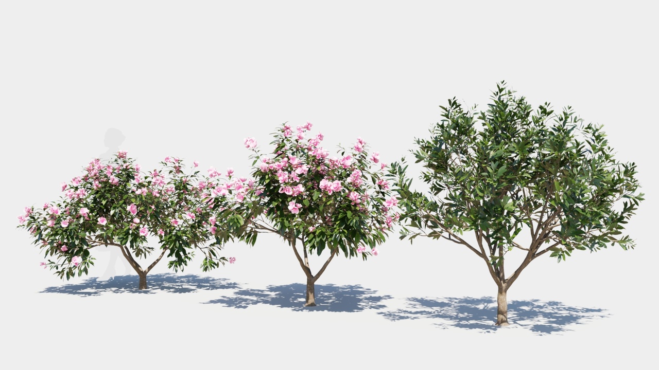 【363】plumeriaページ Botanelle Plumeria Waterjet mosaic tile BTE-6113