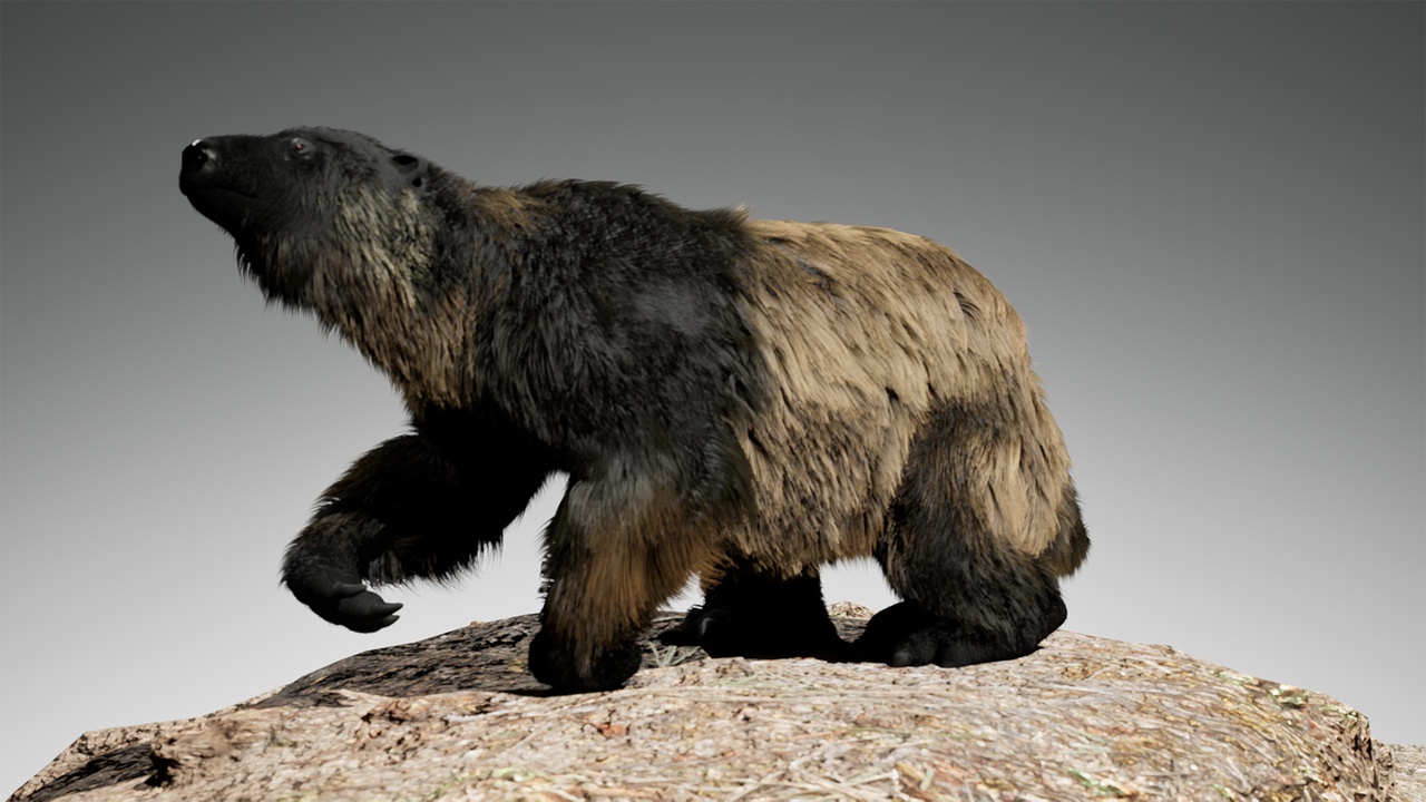 Media 1 for listing The Megatherium