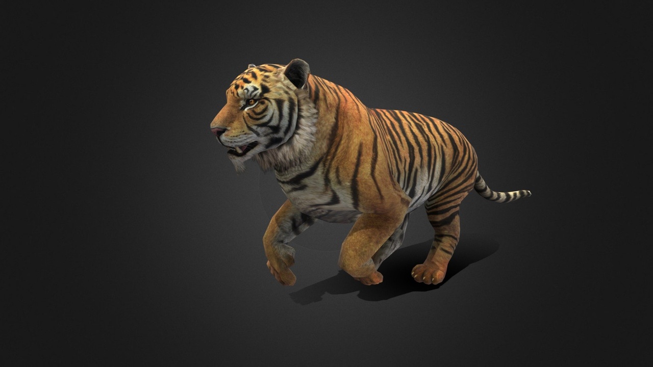 Media 1 for listing Tiger - Run style - Rigged - Animated