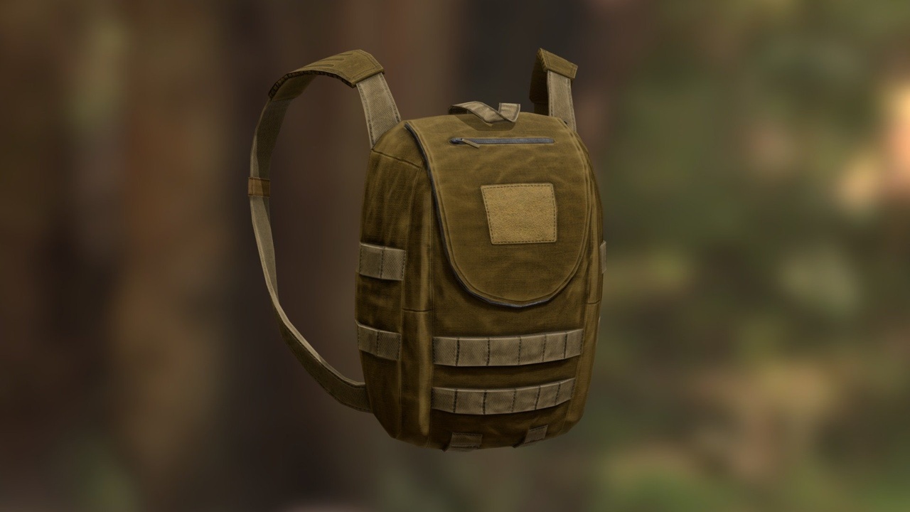 Media 1 for listing Backpack