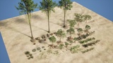 Asset image