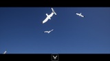 Asset image