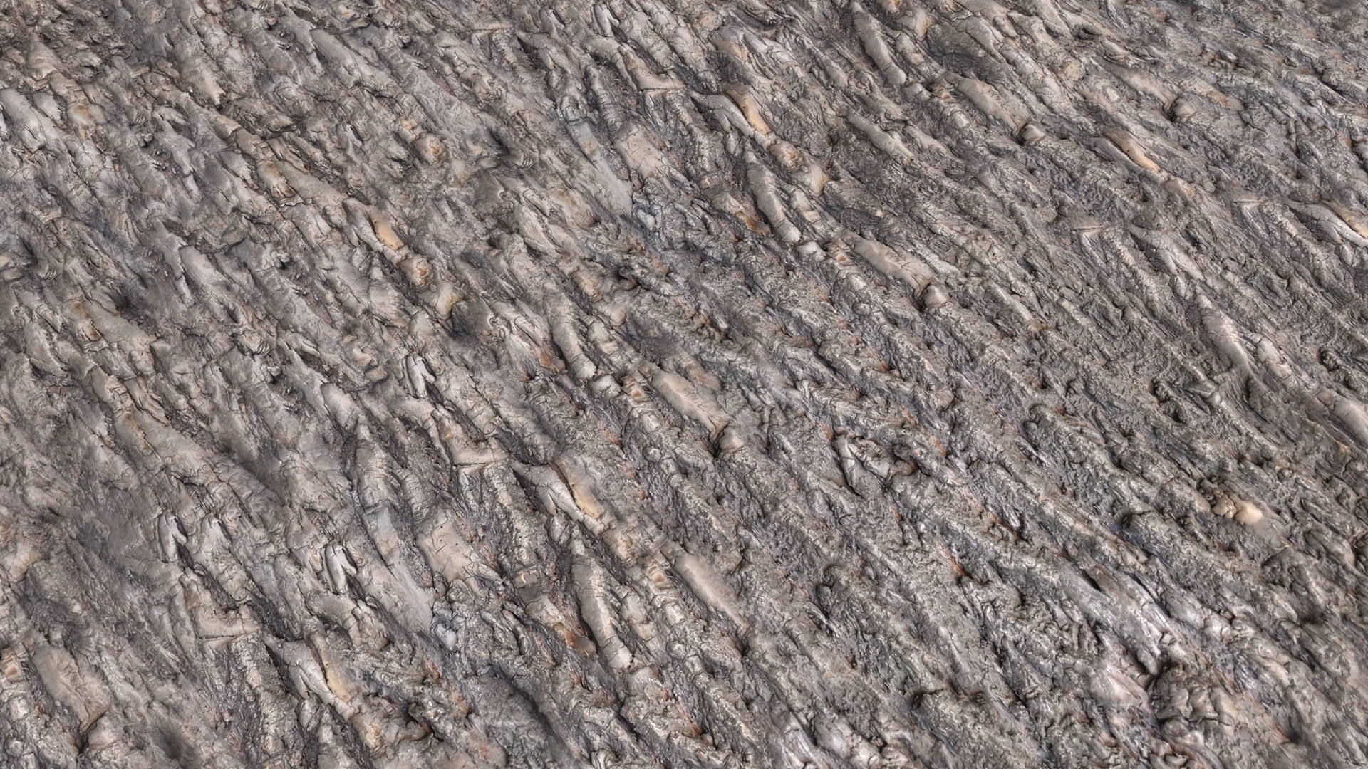 Media 1 for listing Ash Bark Textures