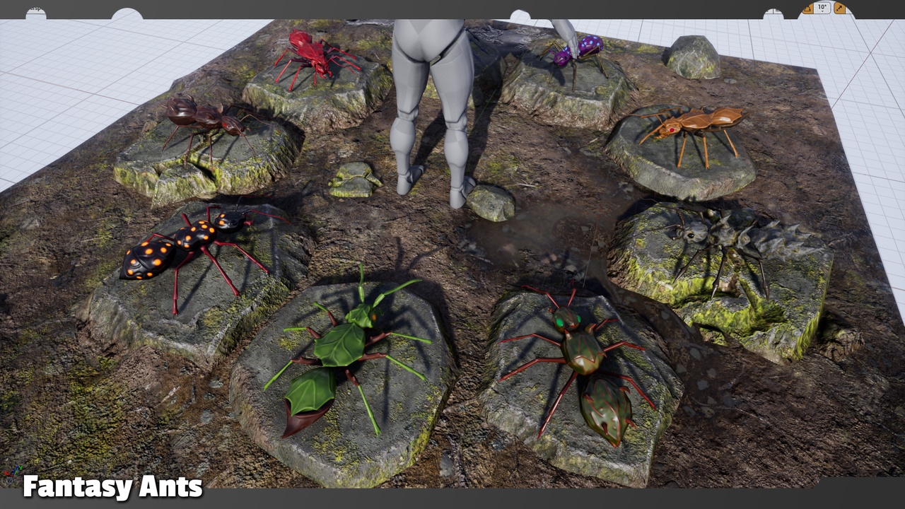 Media 1 for listing Fantasy Ants